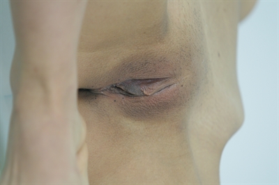 Thumnail / 0 / 10 / 48