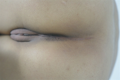 Thumnail / 0 / 10 / 48