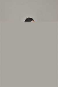 Thumnail / 0 / 12 / 50