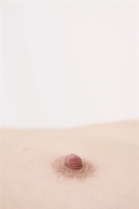 Thumnail / 0 / 19 / 31