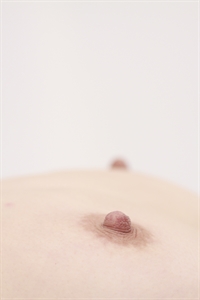 Thumnail / 0 / 19 / 31