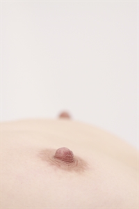 Thumnail / 0 / 19 / 31