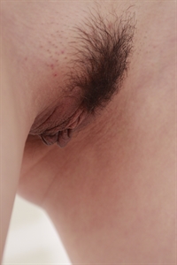 Thumnail / 0 / 19 / 31