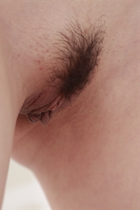 Thumnail / 0 / 19 / 31