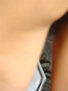 Thumnail / 0 / 19 / 51