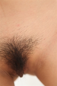 Thumnail / 0 / 20 / 63