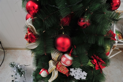 Thumnail / 0 / 22 / 61