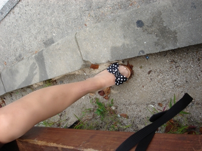 Thumnail / 0 / 23 / 47