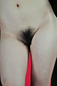Thumnail / 0 / 24 / 09