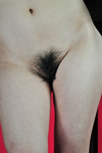 Thumnail / 0 / 24 / 09