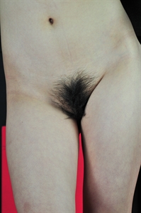 Thumnail / 0 / 24 / 09