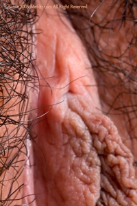 Thumnail / 0 / 29 / 06