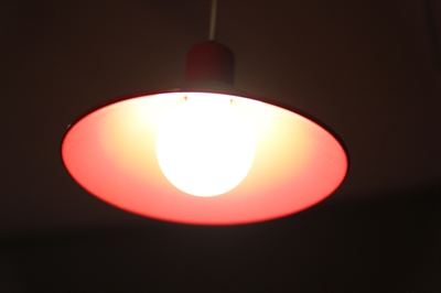 Thumnail / 0 / 29 / 11