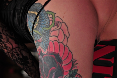 Thumnail / 0 / 29 / 79