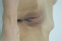 Thumnail / 1 / 10 / 48