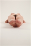 Thumnail / 1 / 10 / 86