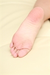 Thumnail / 1 / 12 / 56