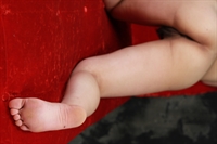 Thumnail / 1 / 14 / 50