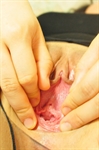 Thumnail / 1 / 15 / 26