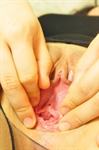 Thumnail / 1 / 15 / 26