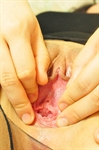 Thumnail / 1 / 15 / 26
