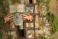 Thumnail / 1 / 15 / 41