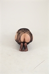 Thumnail / 1 / 19 / 27