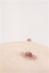 Thumnail / 1 / 19 / 31