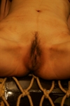 Thumnail / 1 / 19 / 60