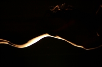 Thumnail / 1 / 23 / 26
