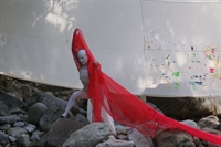 Thumnail / 1 / 24 / 54
