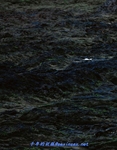 Thumnail / 1 / 26 / 03
