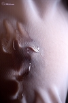 Thumnail / 1 / 28 / 98