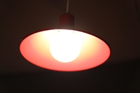 Thumnail / 1 / 29 / 11