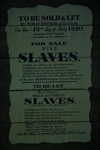 Thumnail / 1 / 31 / 42