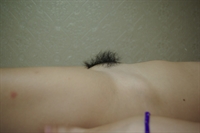 Thumnail / 1 / 31 / 50