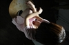 Thumnail / 2 / 10 / 40