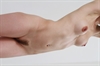 Thumnail / 2 / 10 / 42