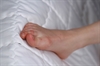 Thumnail / 2 / 10 / 42