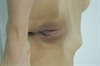 Thumnail / 2 / 10 / 48