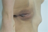 Thumnail / 2 / 10 / 48