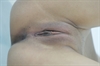 Thumnail / 2 / 10 / 48