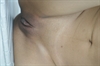 Thumnail / 2 / 10 / 48