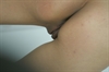 Thumnail / 2 / 10 / 48