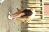 Thumnail / 2 / 11 / 20