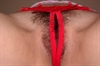 Thumnail / 2 / 11 / 21