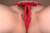 Thumnail / 2 / 11 / 21