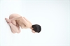 Thumnail / 2 / 12 / 24