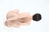 Thumnail / 2 / 12 / 24