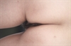 Thumnail / 2 / 12 / 24